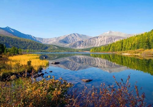 Into the Wild: Adventures in the Heart of Nature