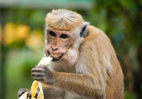 Exploring the Beauty of Mother Nature