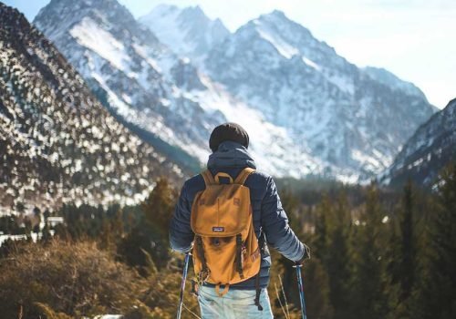 Connecting with Nature’s Tranquil Essence